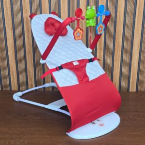 musical baby bouncer
